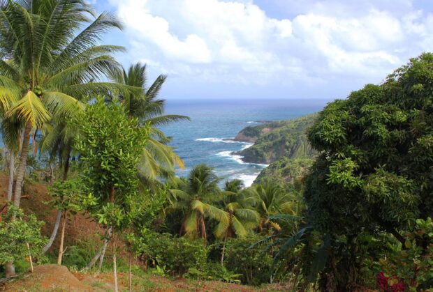 The Dominica Island features a lush tropical forest along its coastline with vibrant greenery and a blue ocean, HD Desktop Wallpaper