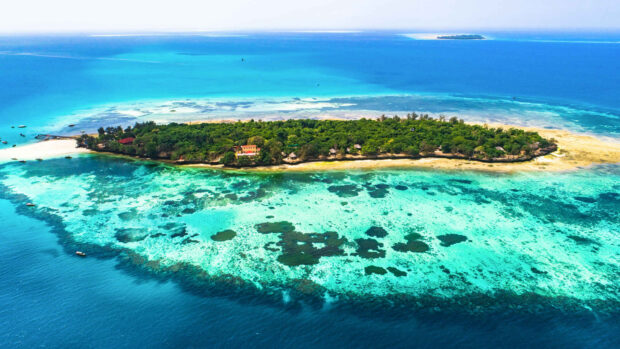 The Zanzibar island features lush greenery surrounded by clear blue waters in this Zanzibar Wallpapers image, HD Desktop Wallpaper