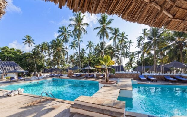 A serene tropical resort pool surrounded by tall palm trees under a clear blue sky, HD Desktop Wallpaper