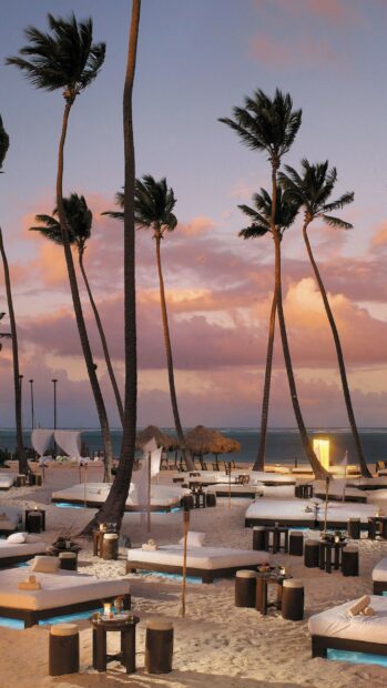 A beautiful tropical beach scene in the Dominican Republic with palm trees at sunset, 2K Phone Wallpaper