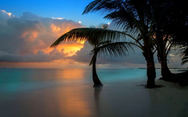 The calm sea reflects the beautiful sunset and palm trees in the Dominican Republic, HD Desktop Wallpaper