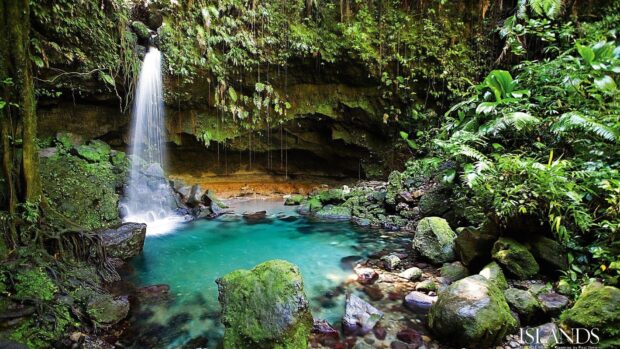 A crystal clear pool with a waterfall surrounded by lush green plants on Dominica Island, HD Desktop Wallpaper