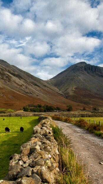 A scenic view of United Kingdom wallpapers showing a rocky wall path and grazing sheep under clouds, 2K Mobile Wallpaper