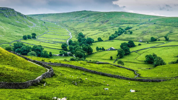 A peaceful view of green hills and stone fences in the United Kingdom, 4K Desktop Wallpaper