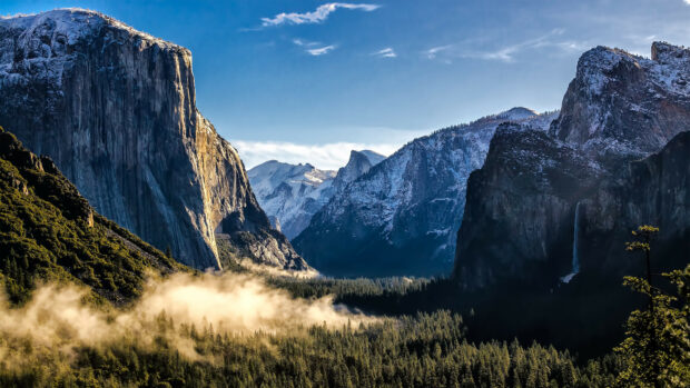 Snow capped mountains and forest landscape in the United States