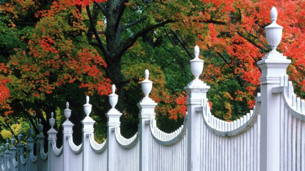 The Vermont wallpapers show bright autumn leaves behind a white decorative fence, HD Desktop Wallpaper