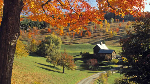 A peaceful Vermont scene shows a barn and colorful trees in fall season, 2K Desktop Wallpaper