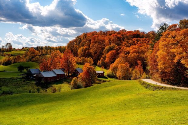 Vermont Wallpapers depict colorful fall trees and green fields under a partly cloudy sky, HD Desktop Wallpaper