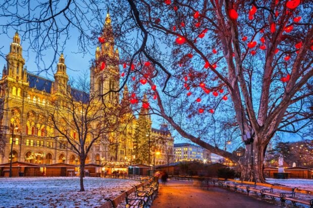 Beautiful Vienna Austria cityscape with decorated tree and historic town hall building