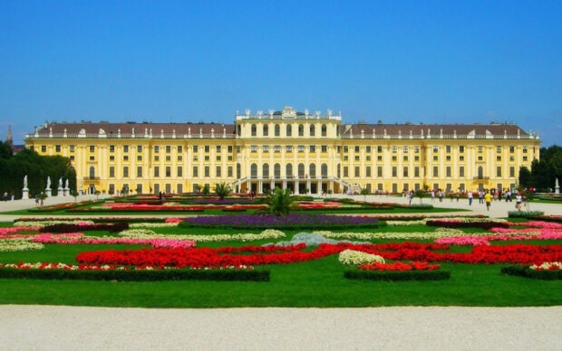 The grand palace in Vienna Austria with colorful flowers in the foreground