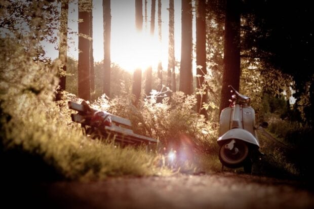 Scooter Wallpapers in warm sunlight with trees around, HD Desktop Wallpaper