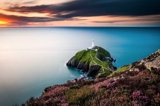A peaceful view of the Wales lighthouse on a rocky island with vibrant pink flowers, HD Desktop Wallpaper