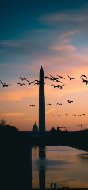 The Washington Monument at sunset with birds flying over the reflecting pool in Washington DC