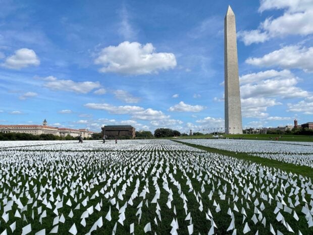 A wide view of Washington Monument with thousands of white flags spread across the green lawn under a blue sky