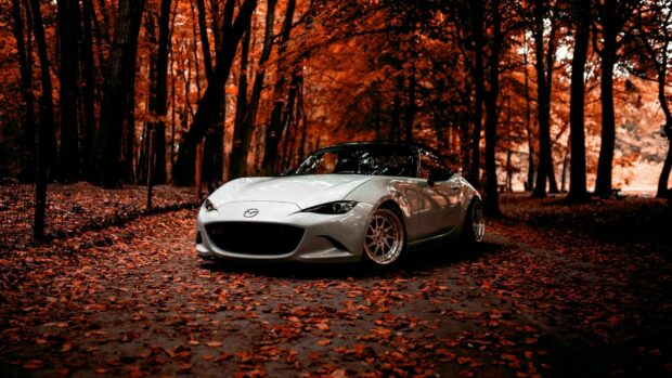 A white Mazda car is parked on a path covered with red fallen leaves in an autumn forest, HD Desktop Wallpaper