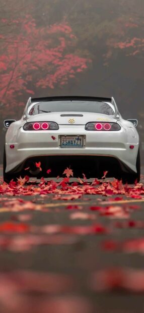 Rear view of a white sports car with a Toyota emblem, parked on a road covered with red秋s, surrounded by autumn foliage and trees with pink leaves in the background.