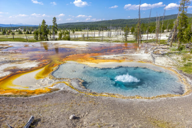 Vibrant geothermal spring with colorful mineral deposits in Wyoming nature