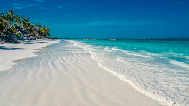 A peaceful shore with turquoise water and palm trees in Zanzibar wallpapers, 2K Desktop Wallpaper