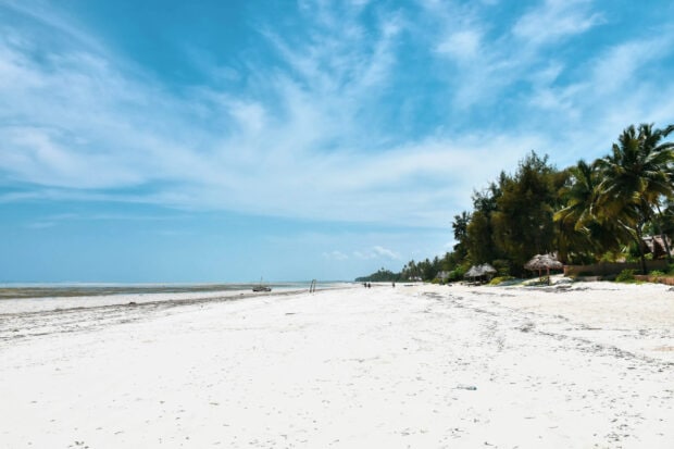 A scenic view of Zanzibar with white sand beach and clear blue sky, 2K Desktop Wallpaper