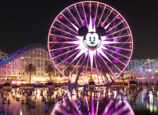 A brightly lit amusement park ferris wheel with a cartoon face reflecting on the water at night