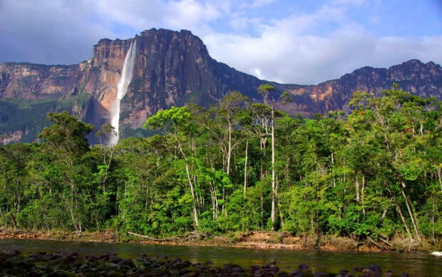 Angel Falls surrounded by lush green forest and rocky cliffs under a cloudy sky