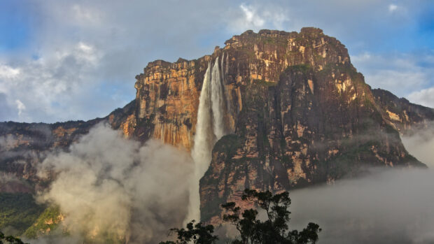 Angel Falls waterfall towering over the forest during misty weather