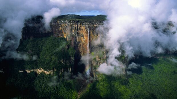 Angel Falls surrounded by lush green forest and mist in a natural landscape