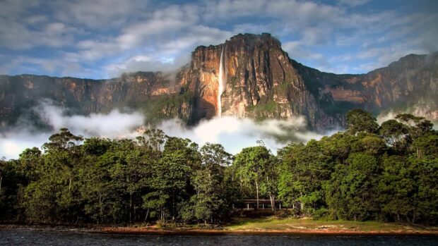 A breathtaking view of Angel Falls surrounded by lush forest and misty clouds