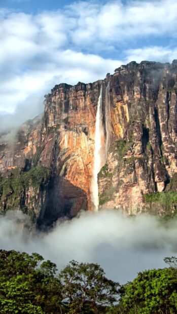 Angel Falls cascading down the cliff surrounded by lush green forest and mist