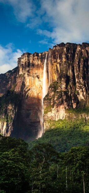 Angel Falls flowing down the steep cliff surrounded by dense forest
