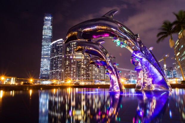 Shiny dolphin sculptures reflecting on water in an Asian cityscape at night