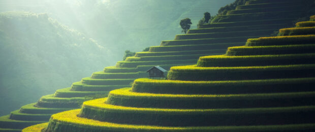 Terraced rice fields with a small hut in a mountainous Asia landscape