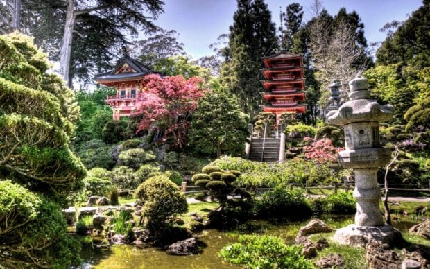 Traditional Japanese garden with pagoda and stone lantern in peaceful nature setting
