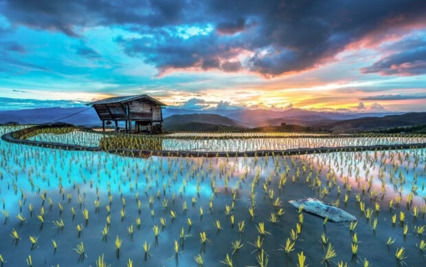 A rice terrace field with a wooden hut reflecting the Asian landscape during sunset