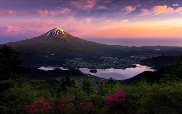 Beautiful Asia landscape with Mount Fuji and blooming flowers during sunset