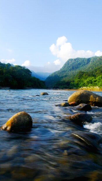 Clear river flowing through green forest in Bangladesh valley with rocks and blue sky