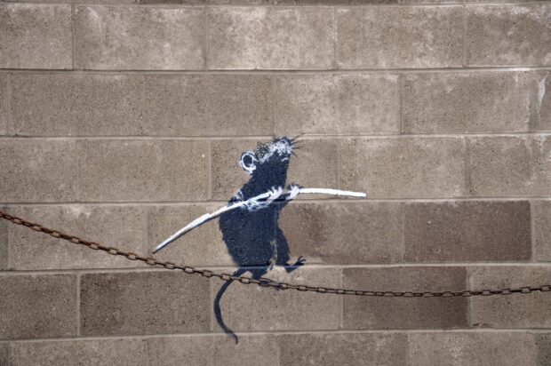 Banksy rat graffiti art on concrete wall walking on a chain balancing with a stick