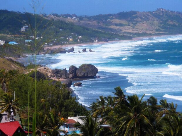 The beautiful coastline of Barbados featuring rocky beaches and lush greenery under a clear blue sky