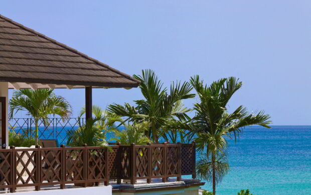Tropical palm trees on a patio overlooking the turquoise sea in Barbados