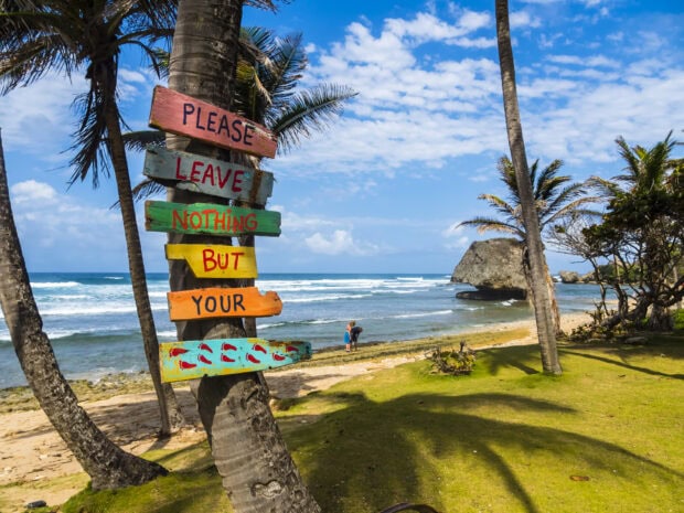 Colorful wooden signs on a palm tree at a Barbados beach with ocean and sky in the background