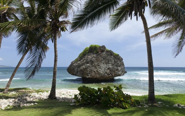 Large rock formation surrounded by palm trees on the Barbados coastline