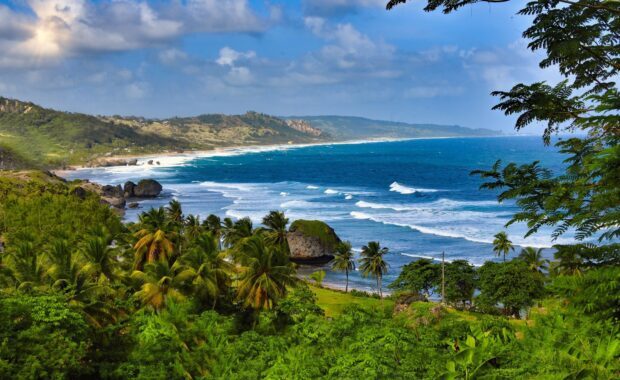 Lush tropical Barbados landscape with palm trees and ocean waves under a sunny sky