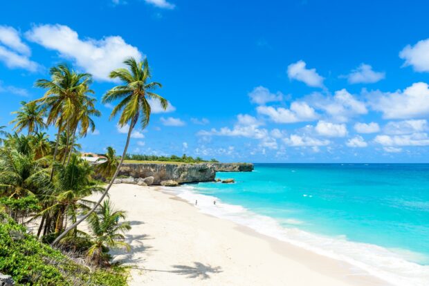 Tropical palms and clear ocean waves define the beauty of Barbados coast