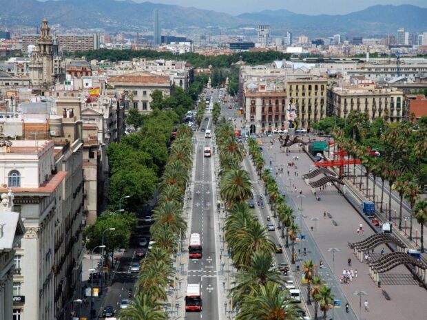 A vibrant Barcelona city street lined with palm trees and historic buildings under clear skies