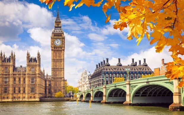 Big Ben clock tower and Westminster Bridge viewed with autumn leaves in foreground