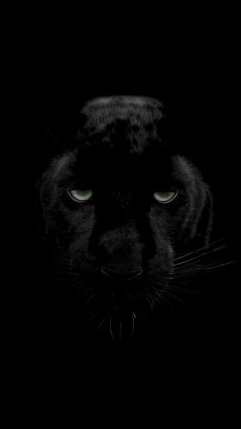 Black panther animal with glowing green eyes staring fiercely in the dark