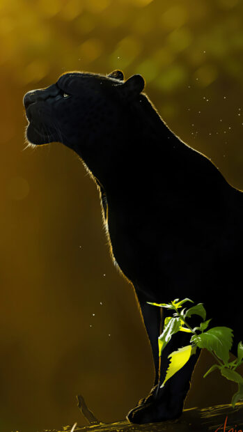 Black panther animal standing in profile with green leaves in front and golden light behind