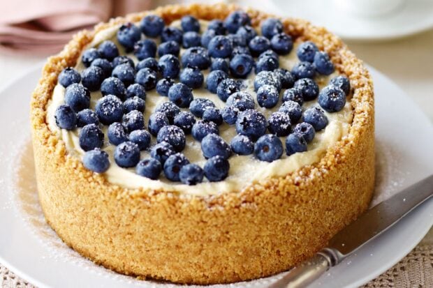 A cheesecake topped with fresh blueberry dusted with powdered sugar on a white plate