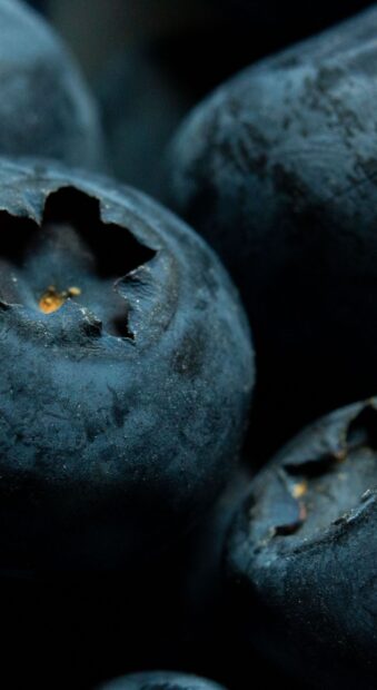 Close up of fresh blueberry with natural texture and details