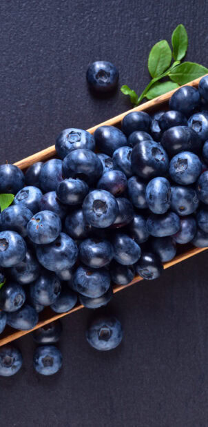 Fresh blueberry with green leaves in a wooden container on a dark surface
